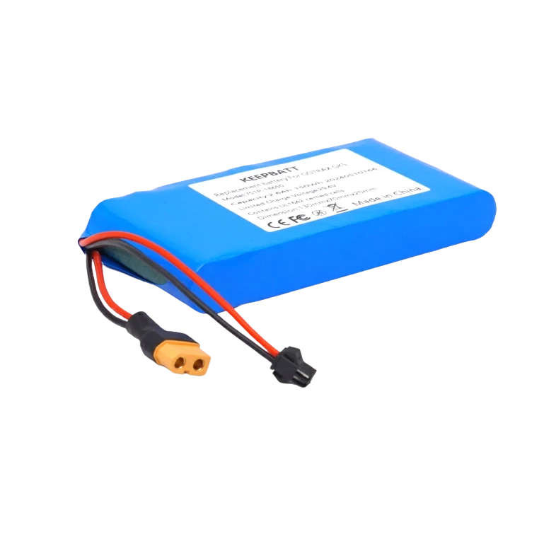 25,2 Volt 3Ah Lithium Akku für Kinder Elektro Scooter E-Skateboard